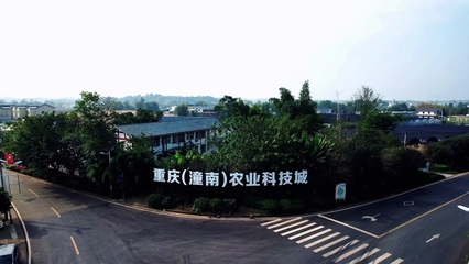 潼南農業 特色農產品種植的繁榮圖景與發展路徑