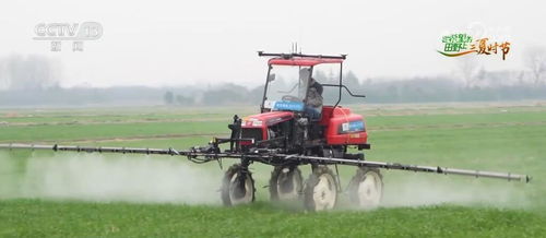 算力織網，智繪“三農”新藍圖 科技賦能農產品生產向優、向綠、向新